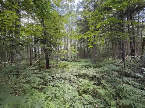 208 Drake Place Road Sheffield VT 06359