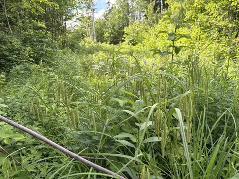 208 Drake Place Road Sheffield VT 06359