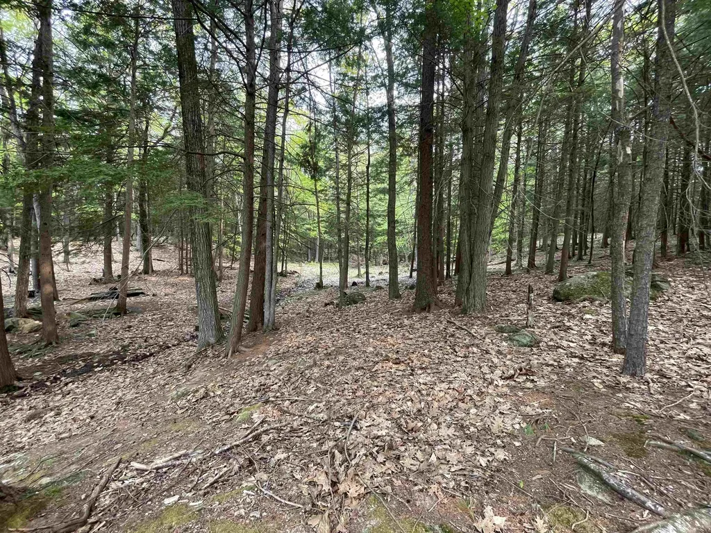 Map 212, Lot 49 Durrell Mountain Road Belmont NH 03220