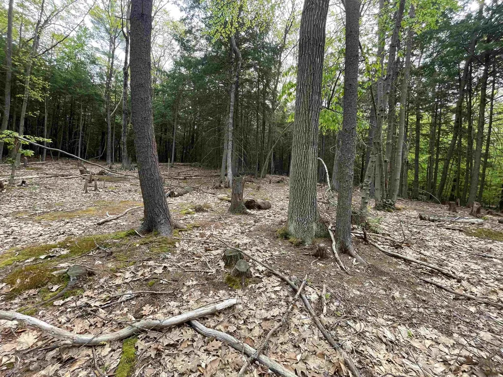 Map 212, Lot 49 Durrell Mountain Road Belmont NH 03220