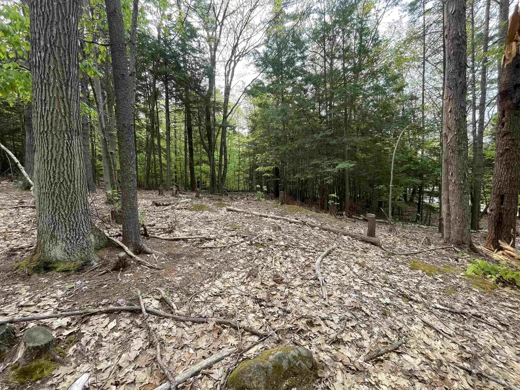 Map 212, Lot 49 Durrell Mountain Road Belmont NH 03220