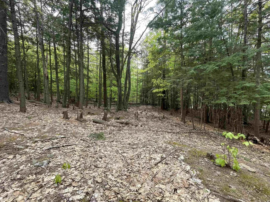 Map 212, Lot 49 Durrell Mountain Road Belmont NH 03220