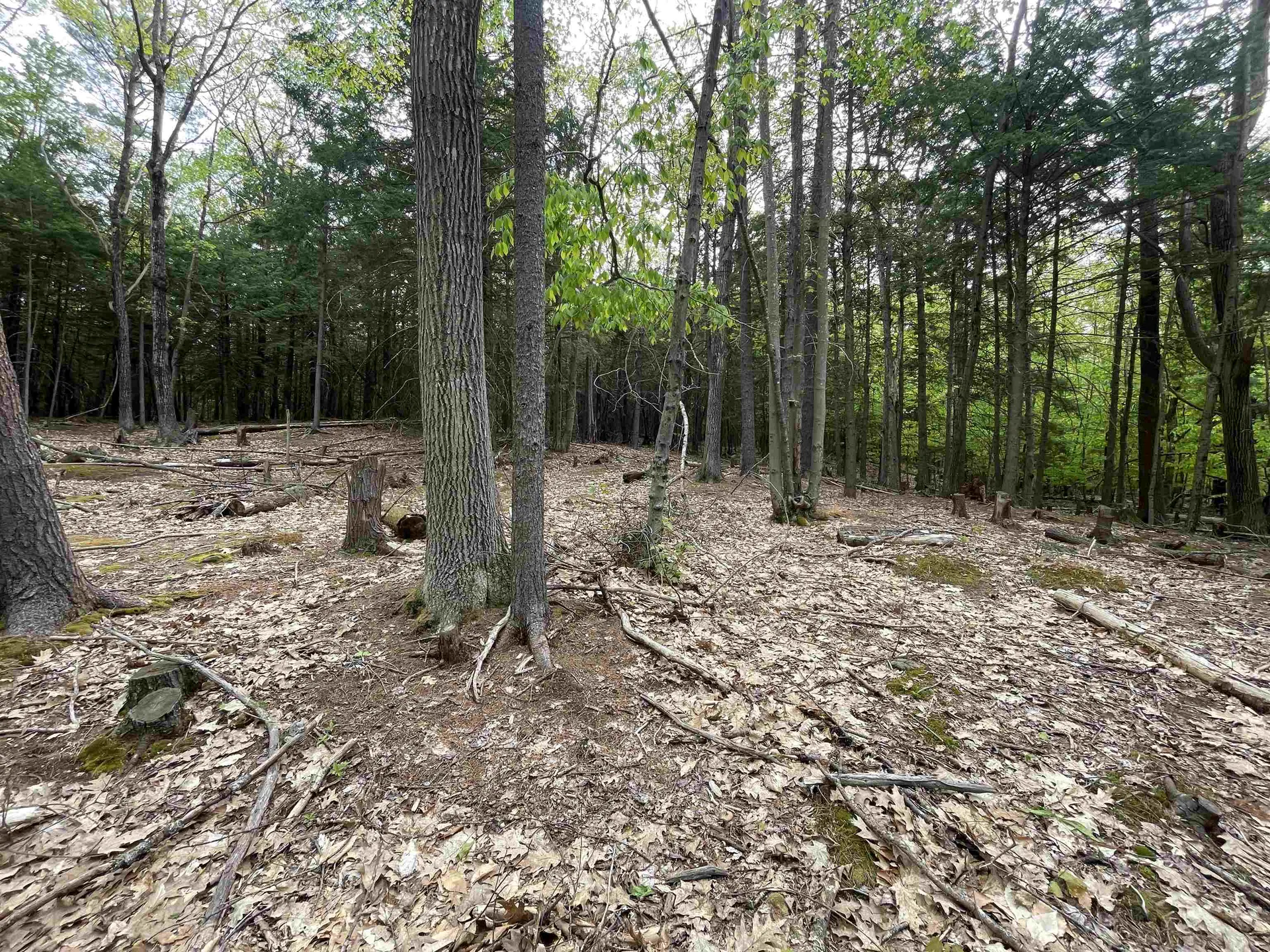 Map 212, Lot 49 Durrell Mountain Road Belmont NH 03220