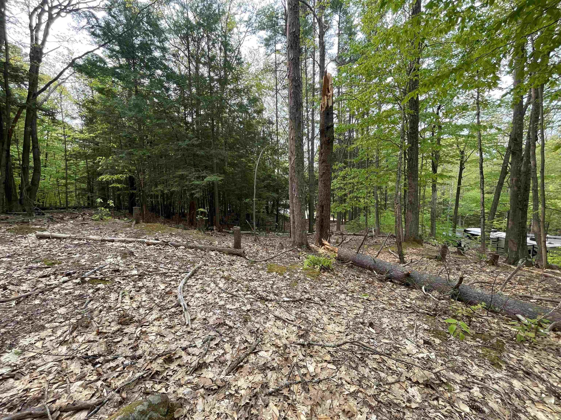 Map 212, Lot 49 Durrell Mountain Road Belmont NH 03220