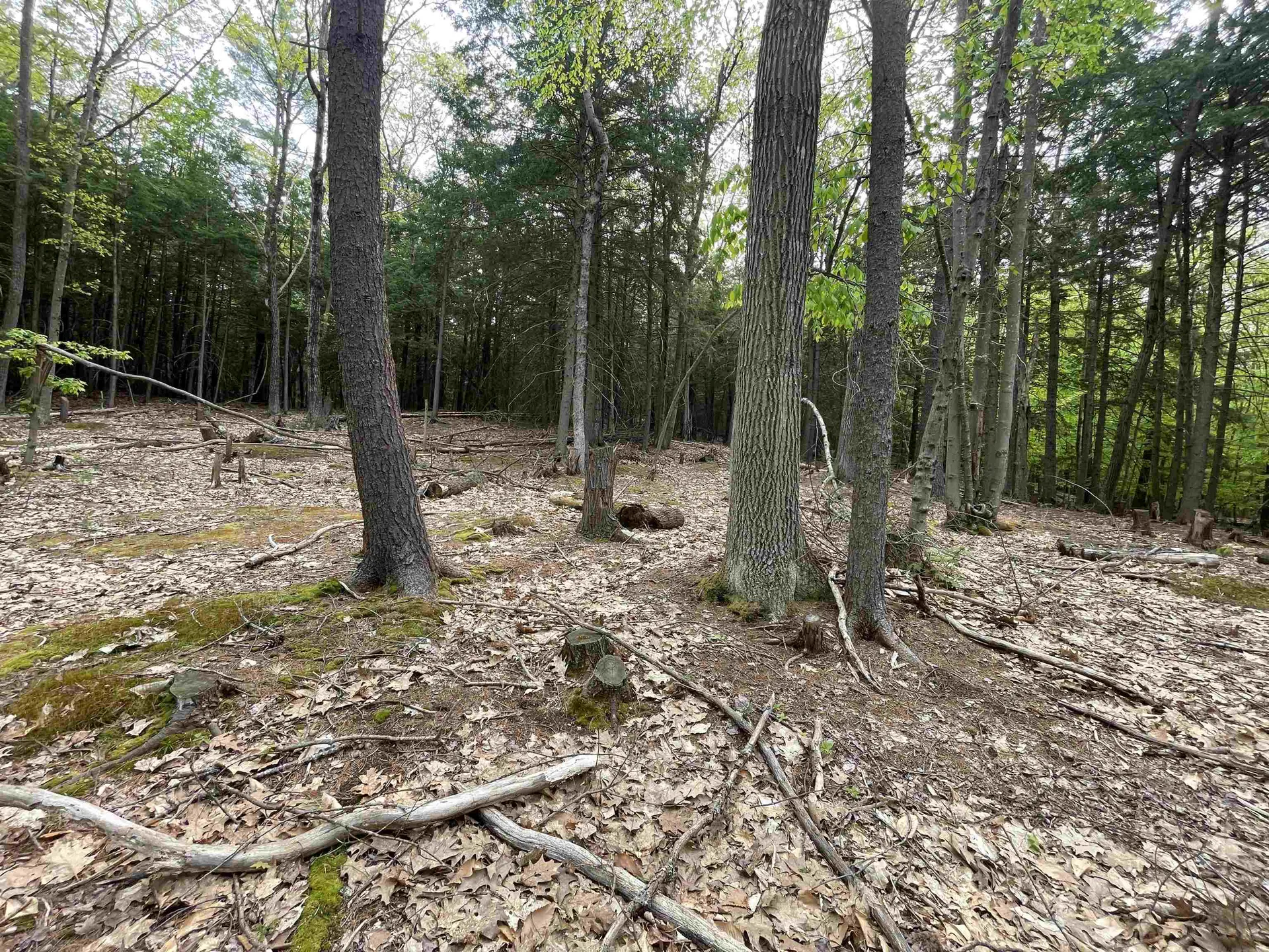 Map 212, Lot 49 Durrell Mountain Road Belmont NH 03220