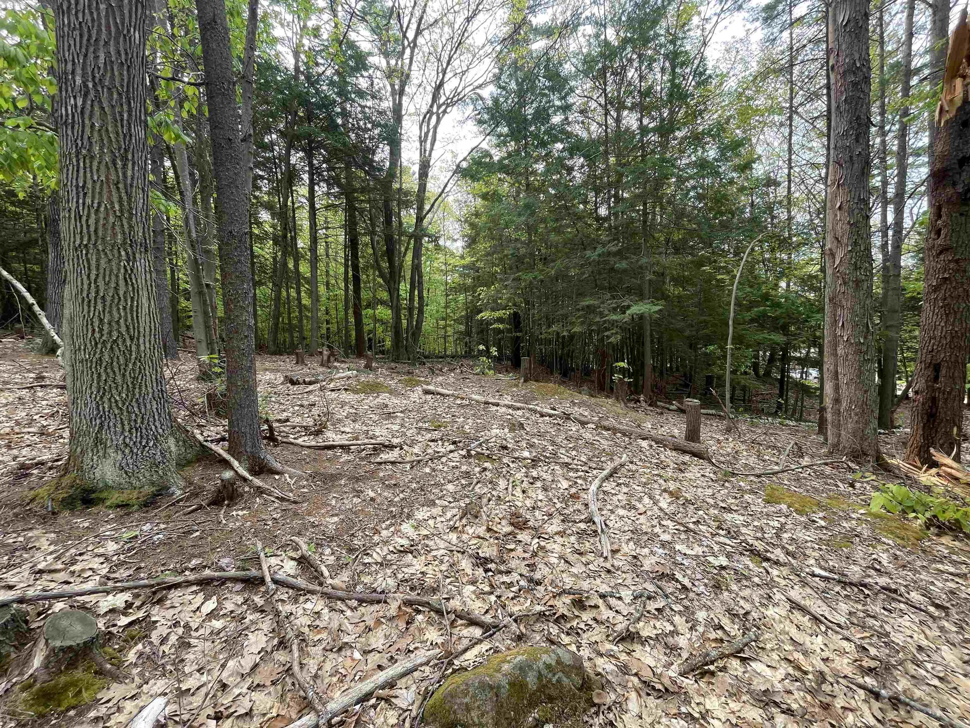 Map 212, Lot 49 Durrell Mountain Road Belmont NH 03220