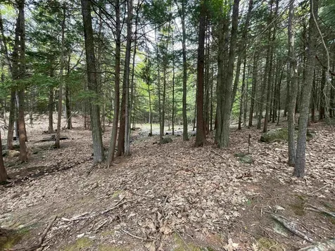 Map 212, Lot 49 Durrell Mountain Road Belmont NH 03220