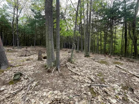 Map 212, Lot 49 Durrell Mountain Road Belmont NH 03220