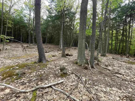 Map 212, Lot 49 Durrell Mountain Road Belmont NH 03220