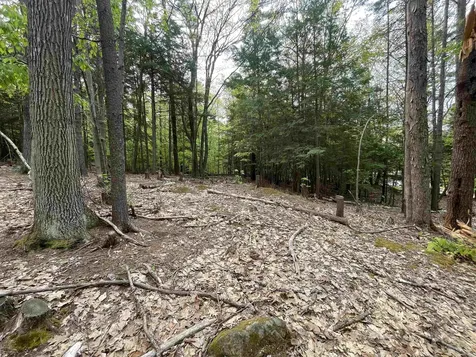Map 212, Lot 49 Durrell Mountain Road Belmont NH 03220