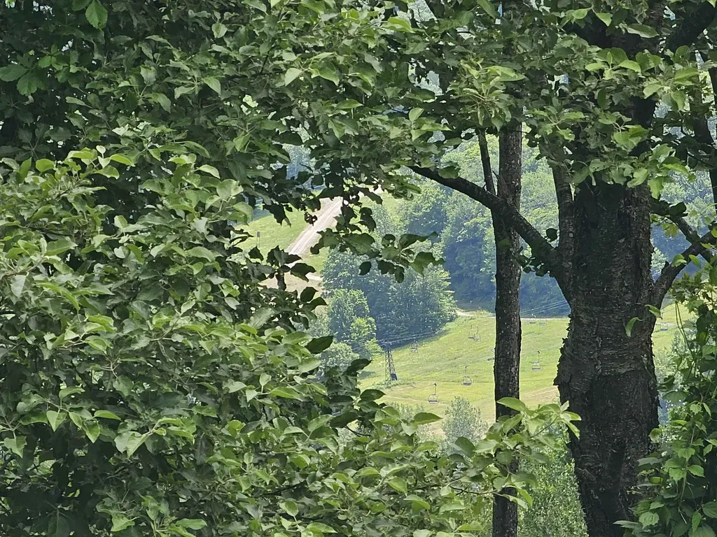 24 Lower Highlands Road Dover VT 05356
