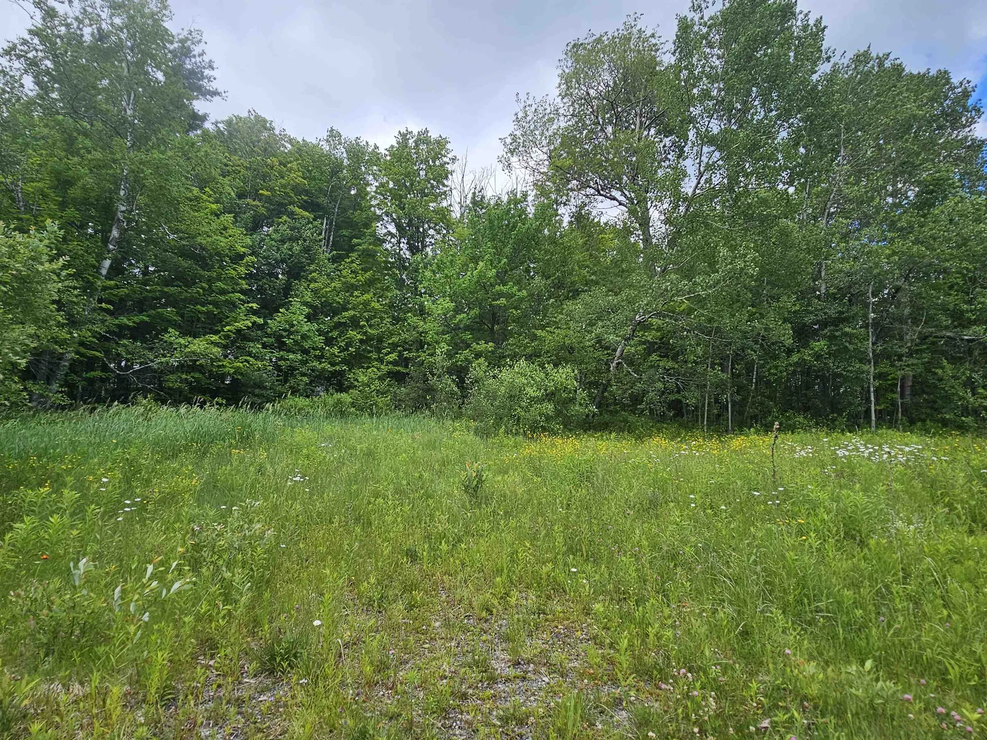 24 Lower Highlands Road Dover VT 05356