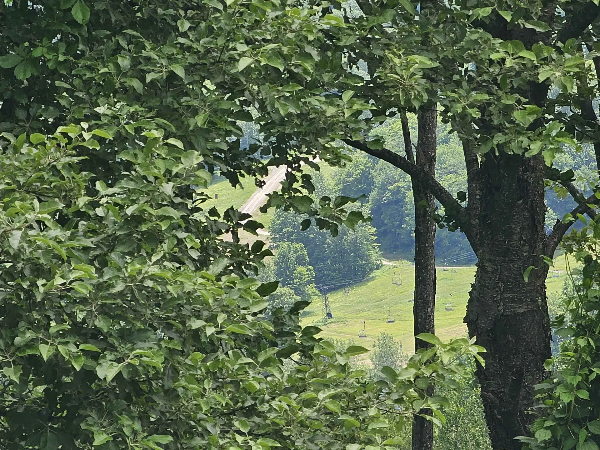 24 Lower Highlands Road Dover VT 05356