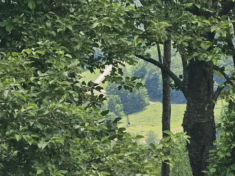 24 Lower Highlands Road Dover VT 05356