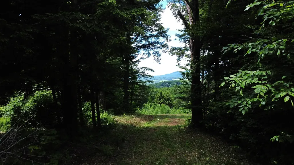157 Bear Creek Lane Waterbury VT 05677