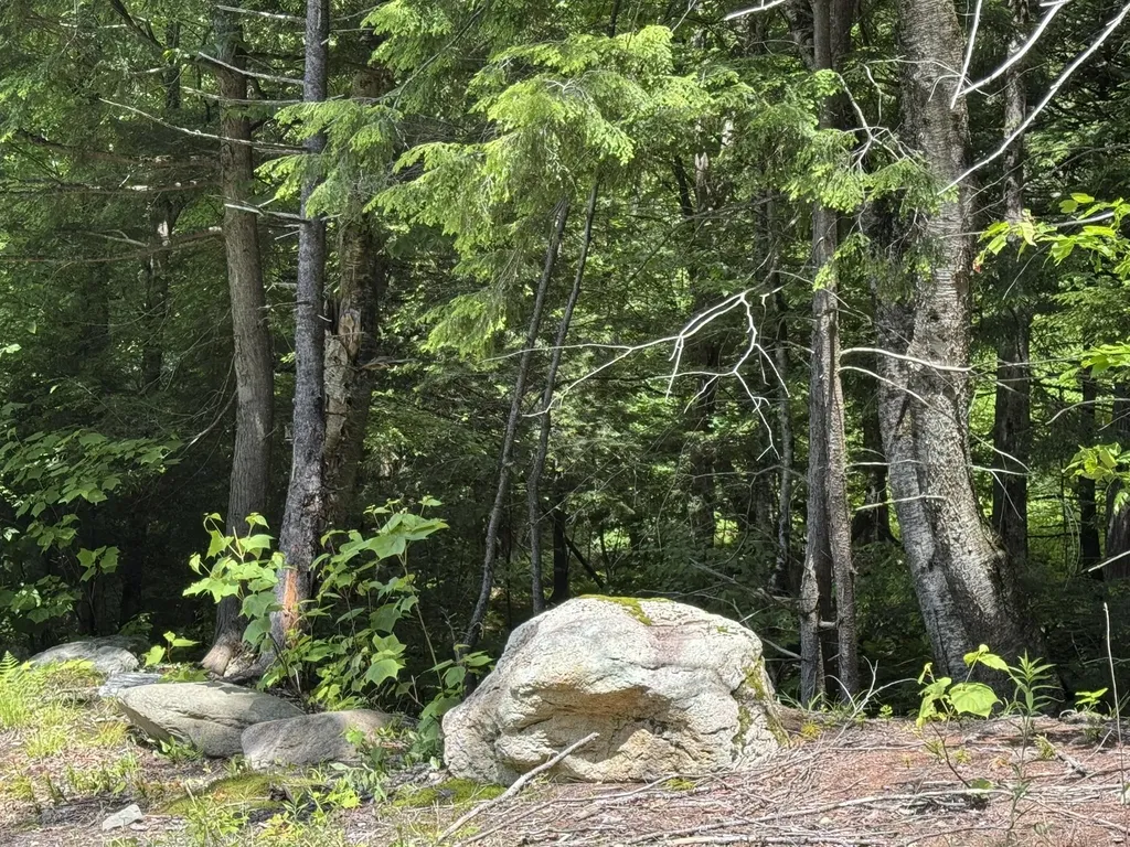 157 Bear Creek Lane Waterbury VT 05677