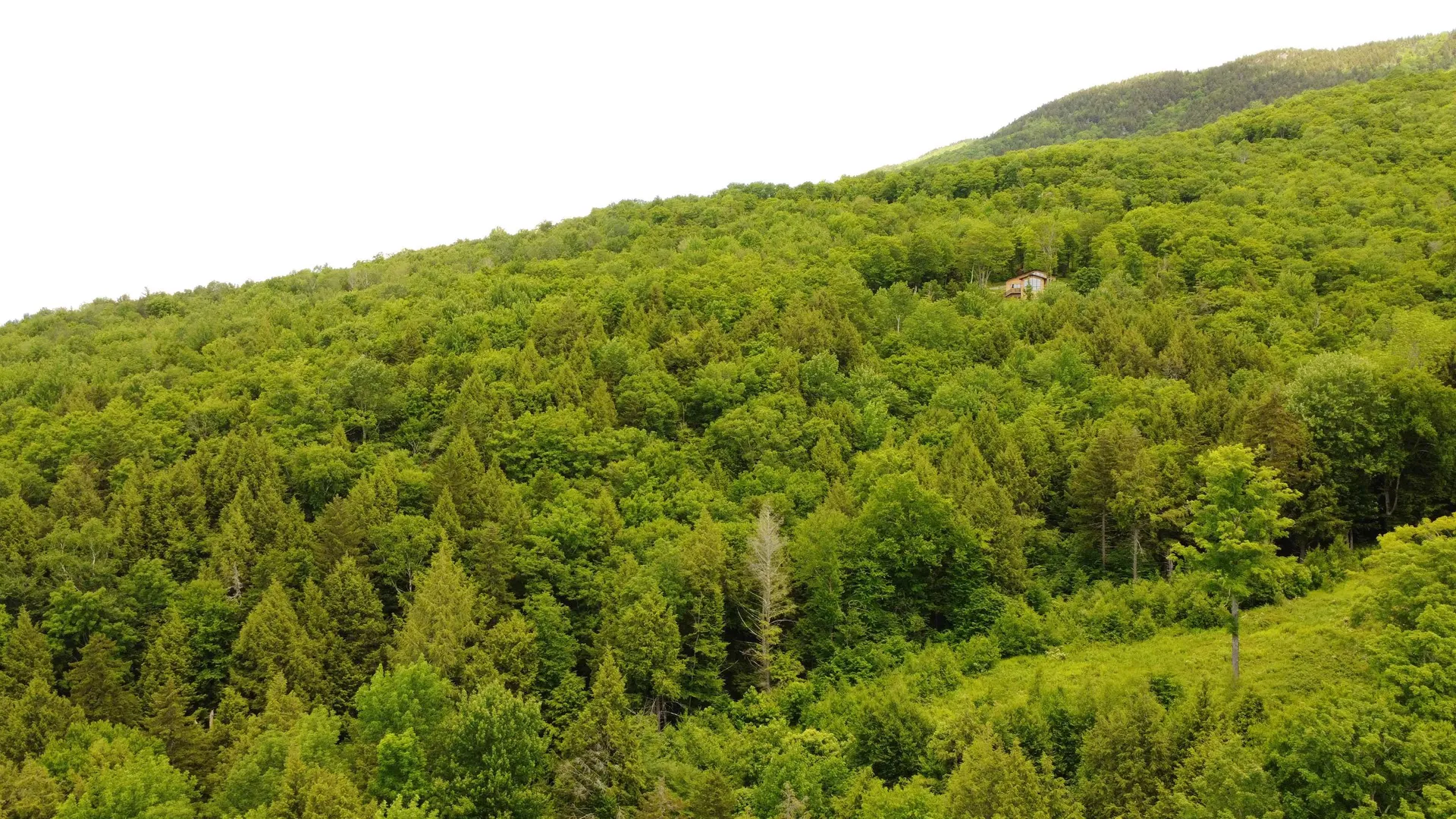 157 Bear Creek Lane Waterbury VT 05677