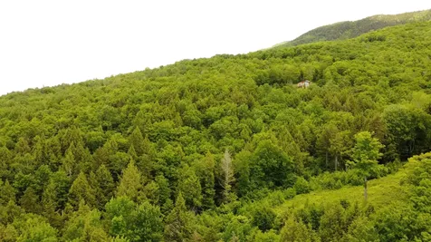157 Bear Creek Lane Waterbury VT 05677