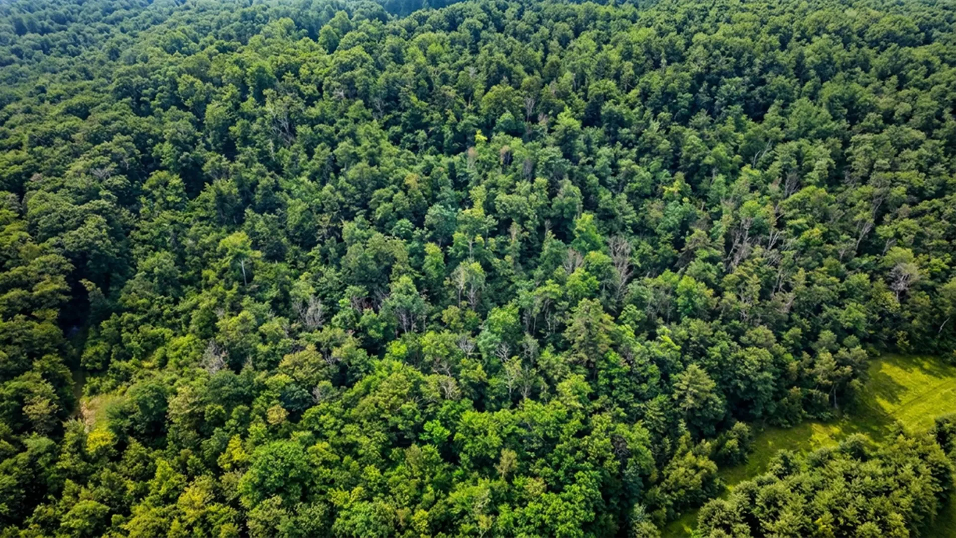 00 Hurricane Road Westmoreland NH 03467