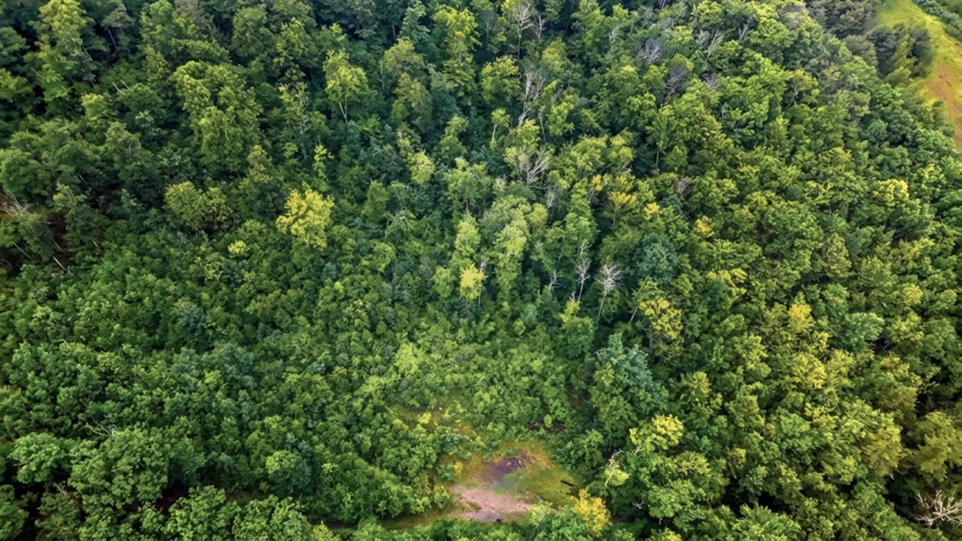 00 Hurricane Road Westmoreland NH 03467