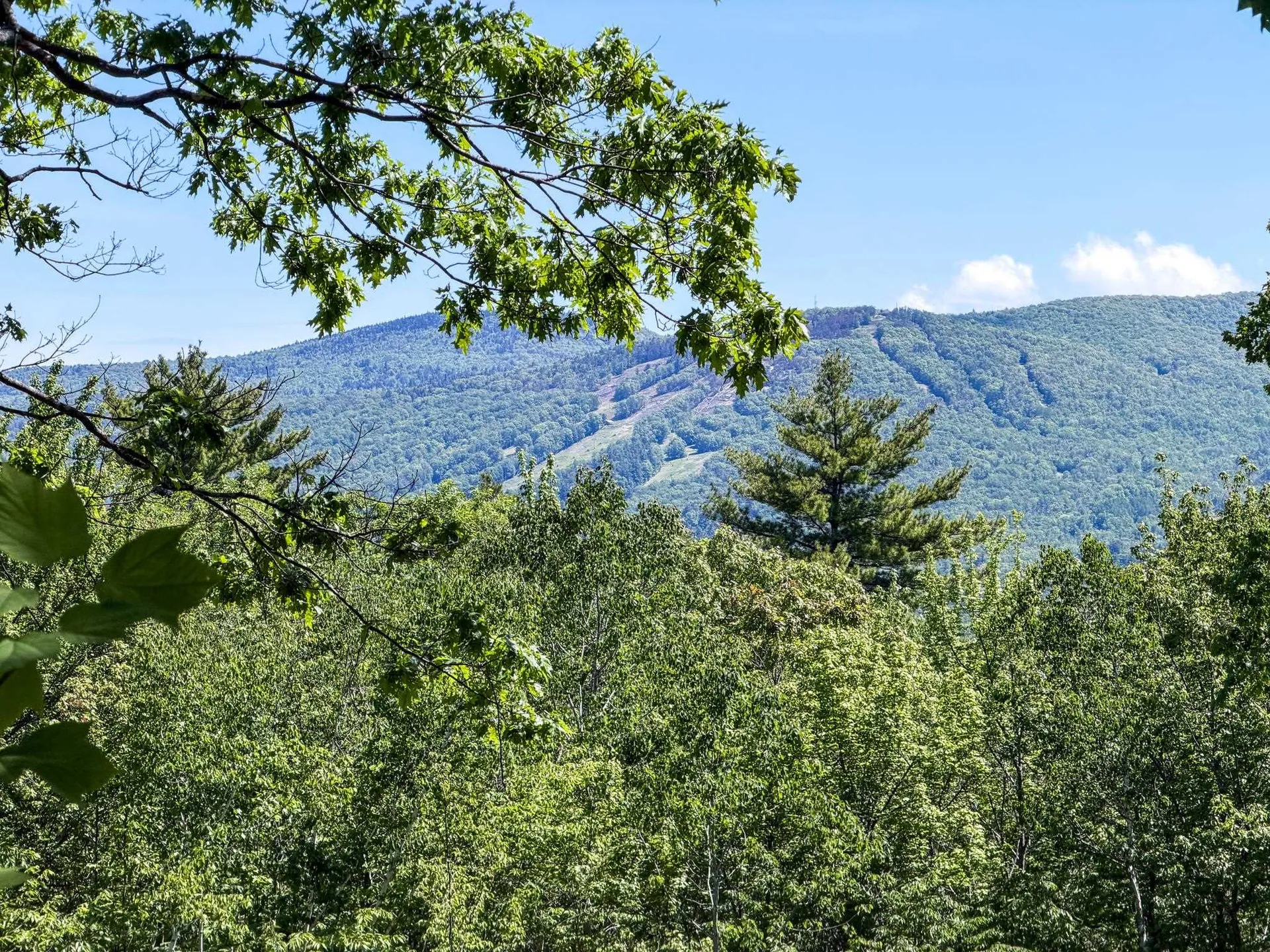 236 Birch Hill Road Conway NH 03860