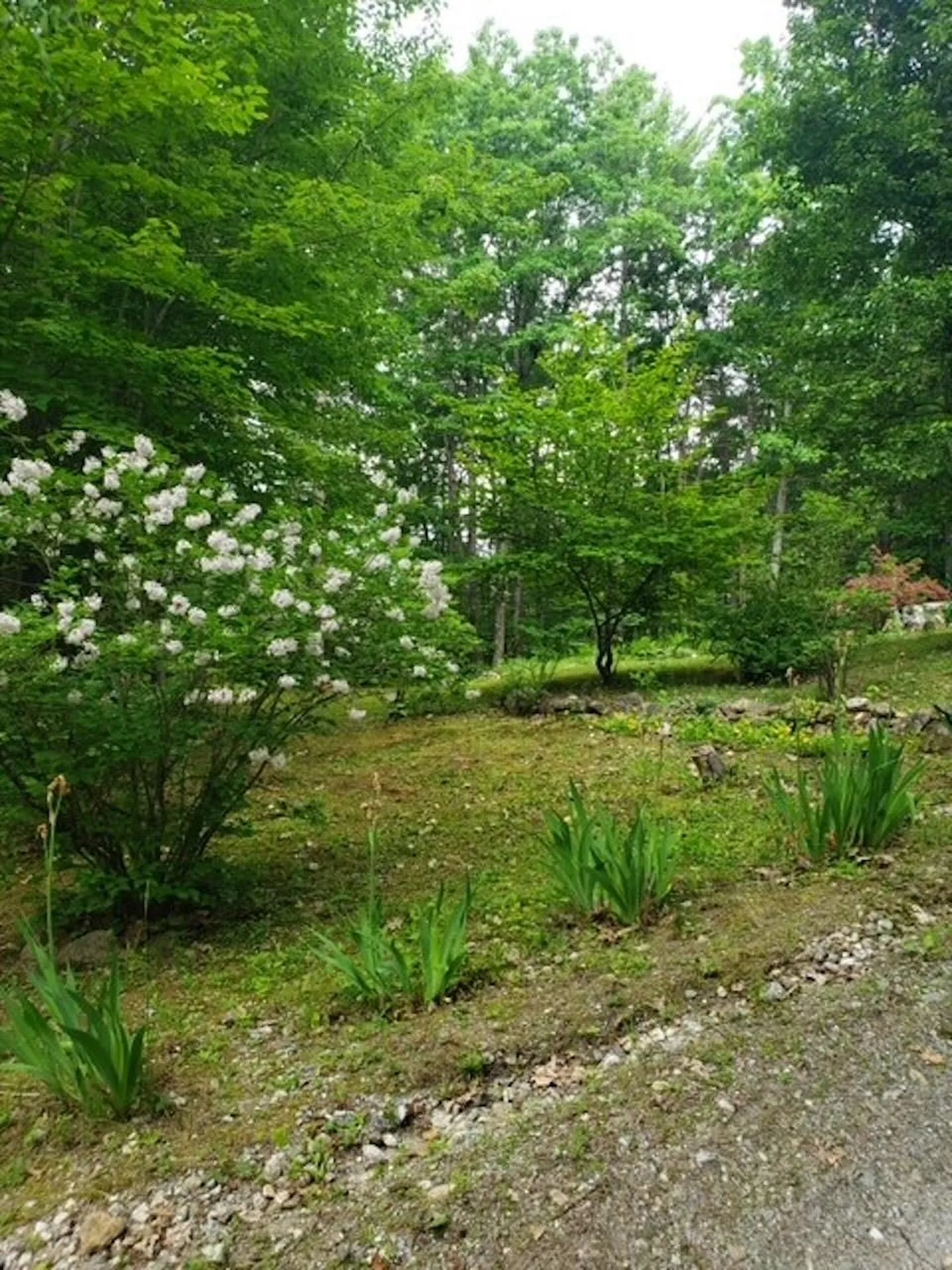 14 Ridgeway Drive Newbury NH 03255