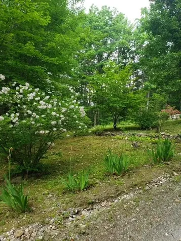 14 Ridgeway Drive Newbury NH 03255