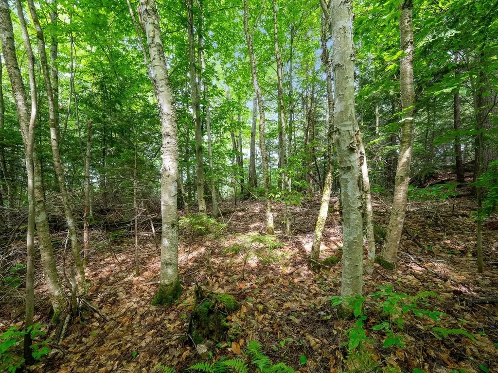 Tbd Sholan Road Morristown VT 05661