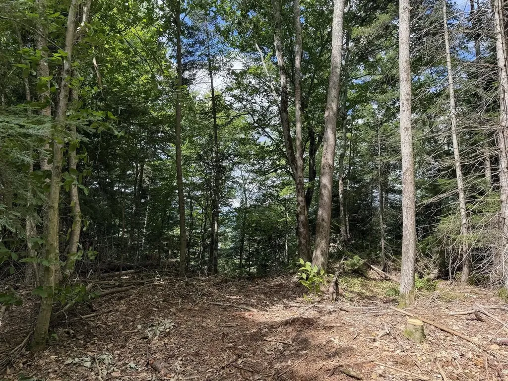 Tbd Sholan Road Morristown VT 05661