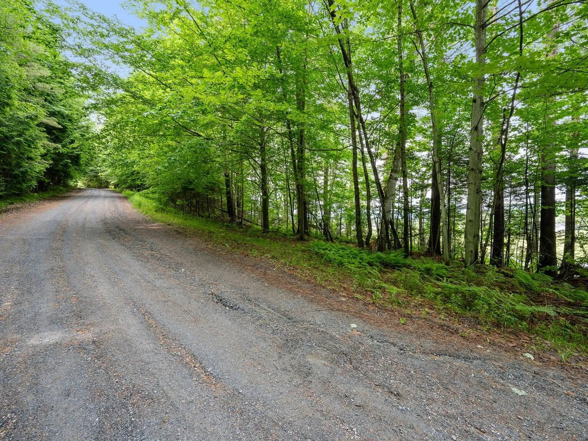 Tbd Sholan Road Morristown VT 05661