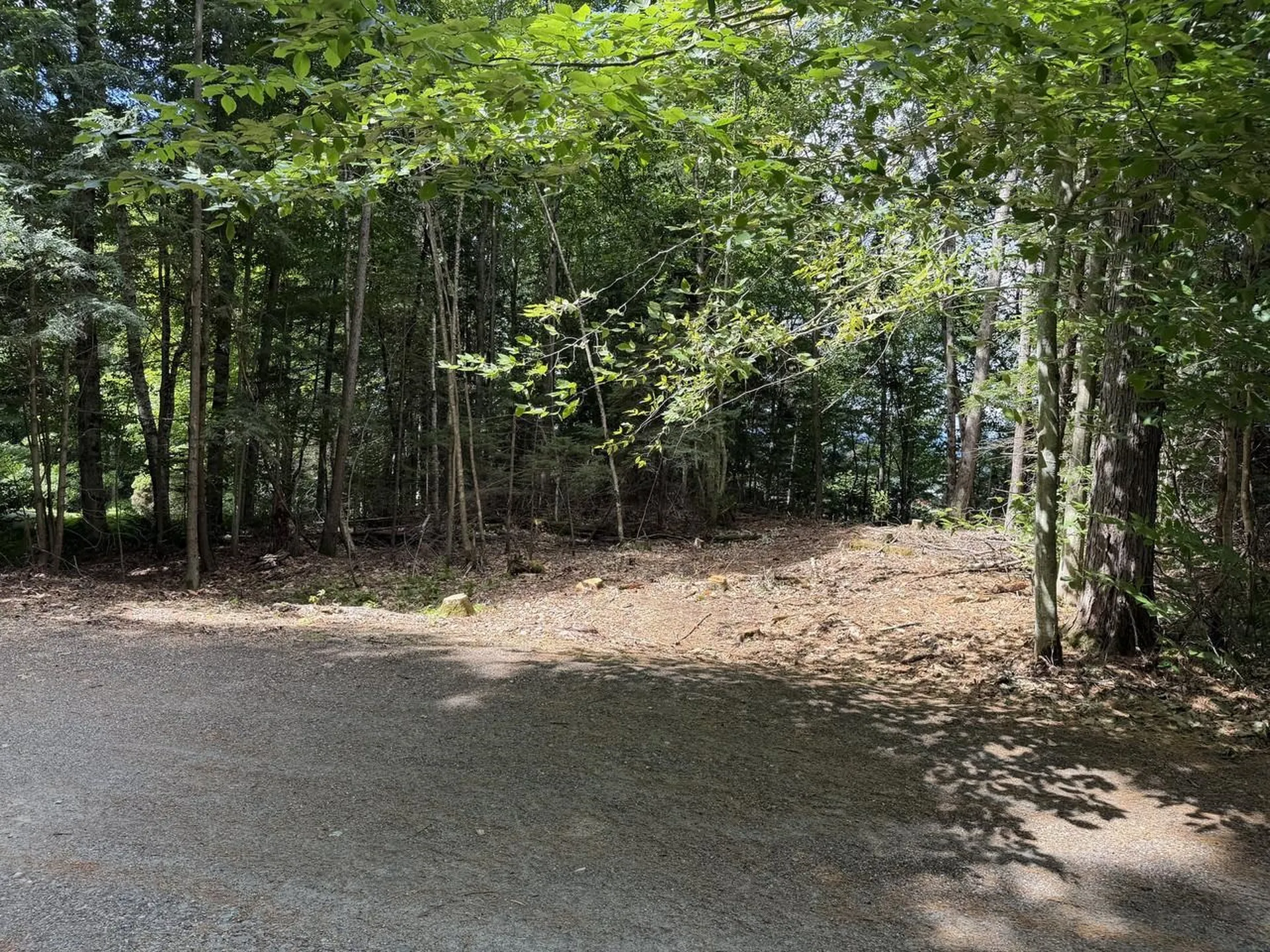 Tbd Sholan Road Morristown VT 05661