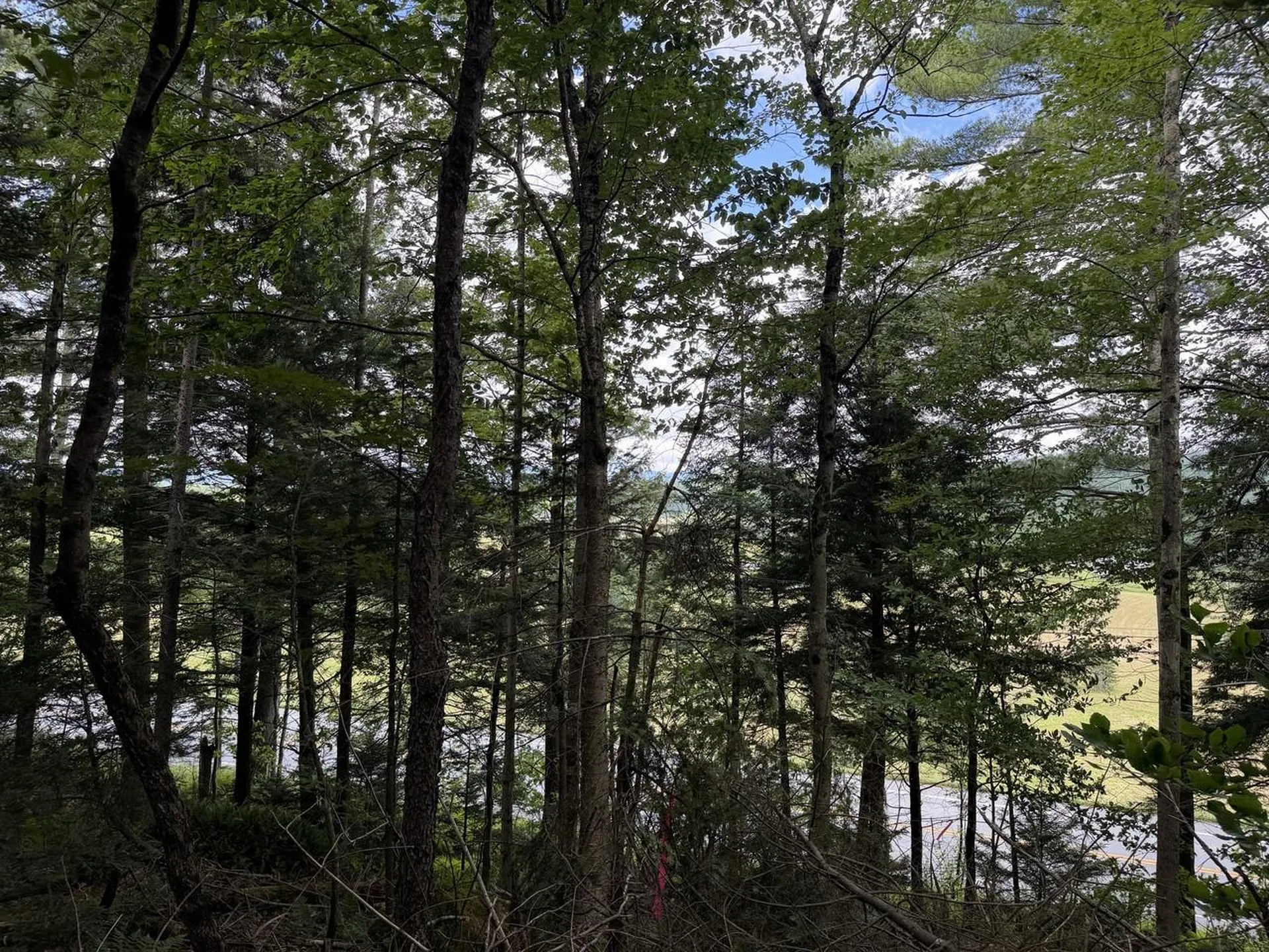 Tbd Sholan Road Morristown VT 05661