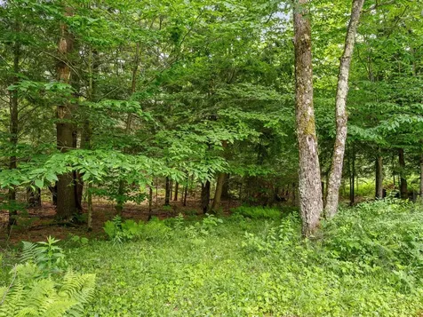 98 Leary Road Jericho VT 05465
