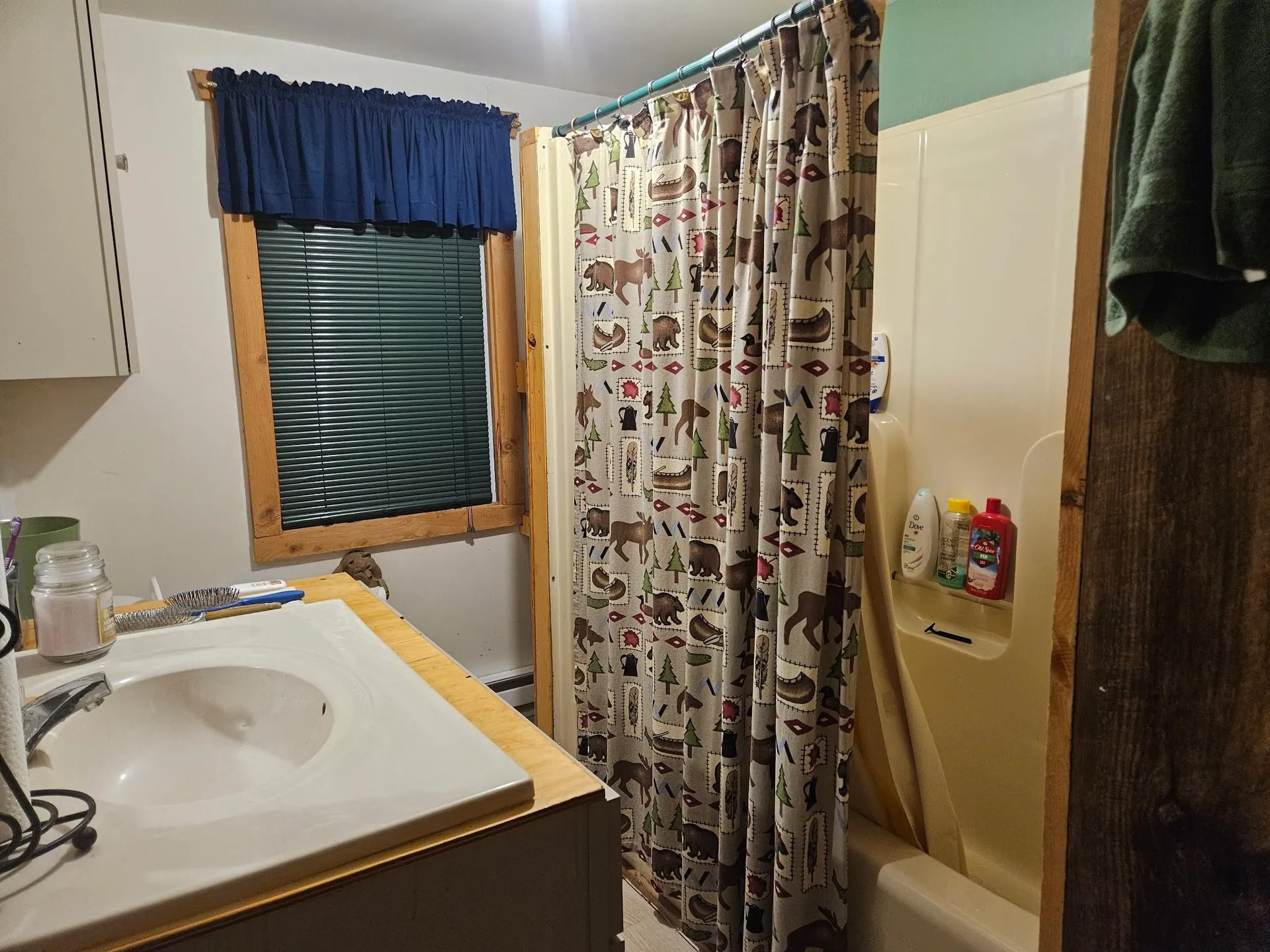 279 North Street Dover VT 05341