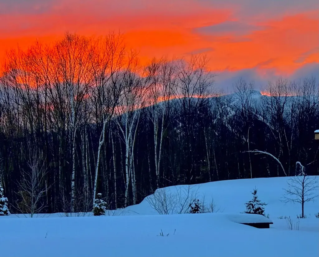 1084 Wade Pasture Road Stowe VT 05672-5259