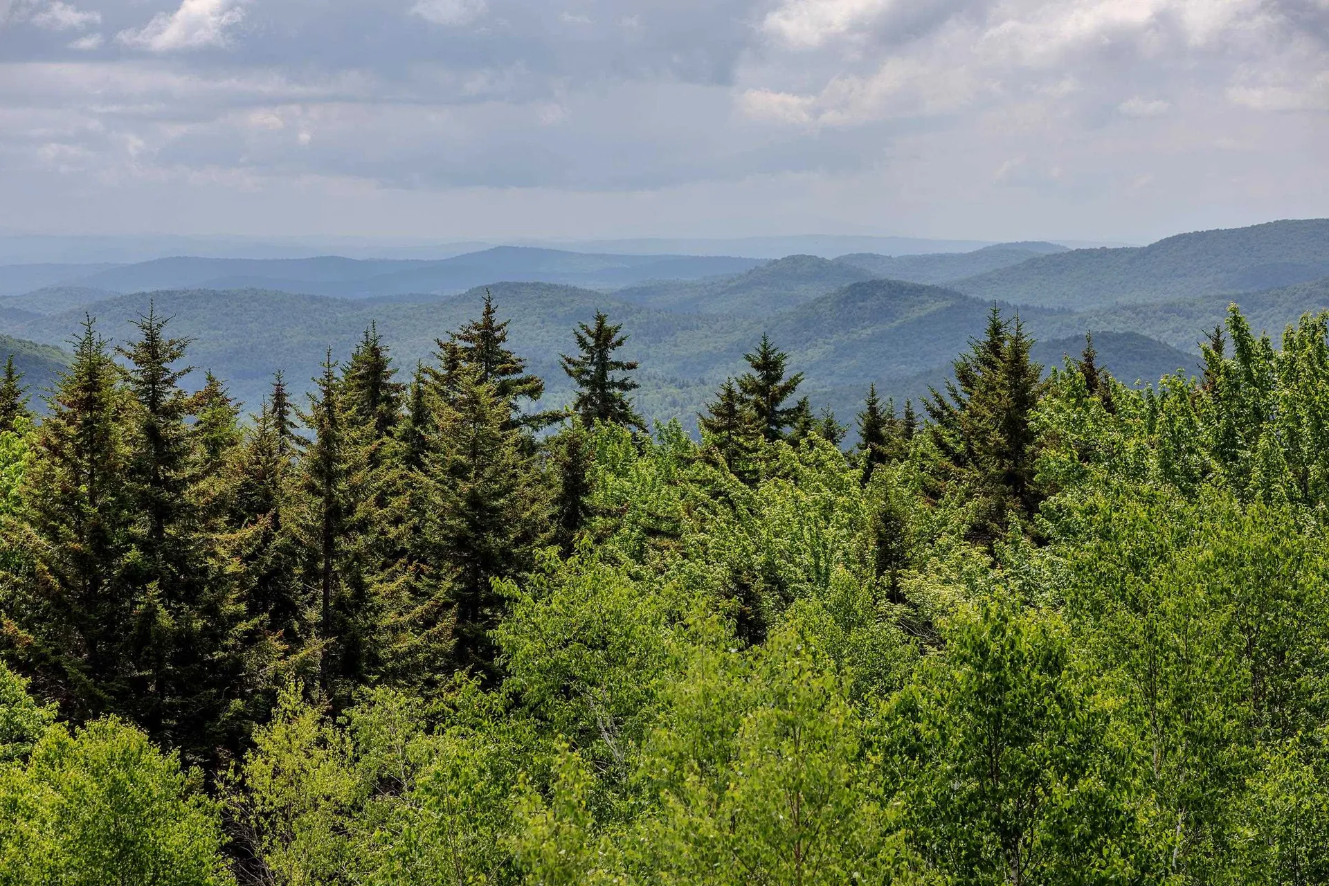 330 Spruce Drive Andover VT 05143