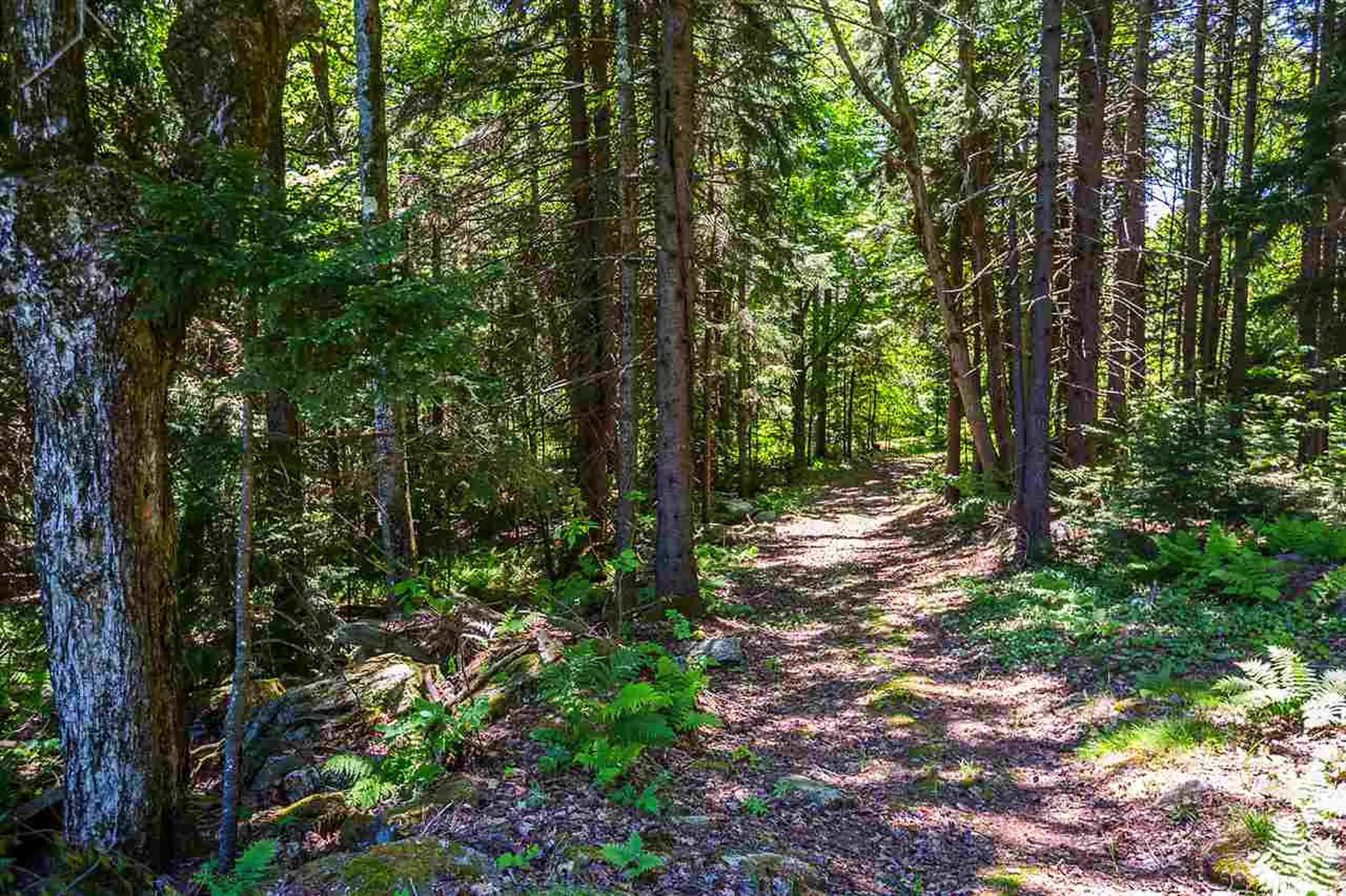 330 Spruce Drive Andover VT 05143
