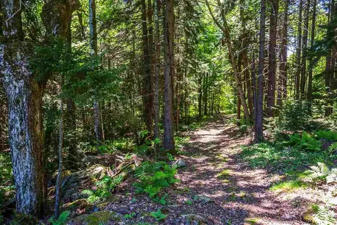 330 Spruce Drive Andover VT 05143