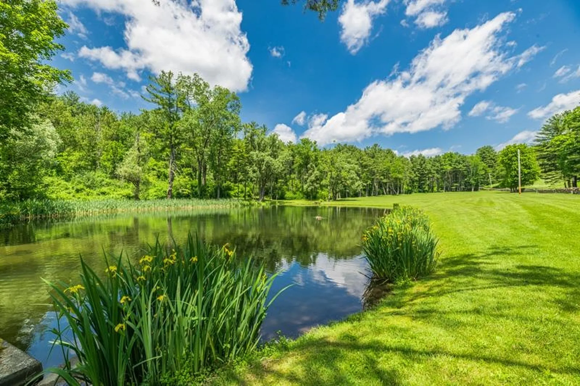 2236 River Road Manchester VT 05255