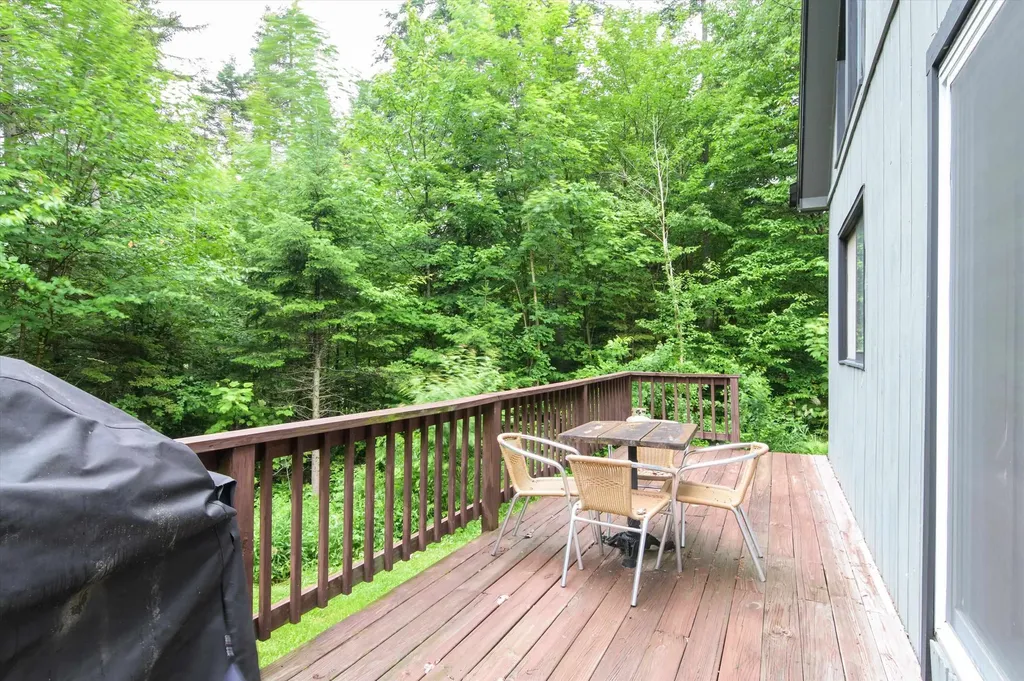 14 Mill Road Dover VT 05356