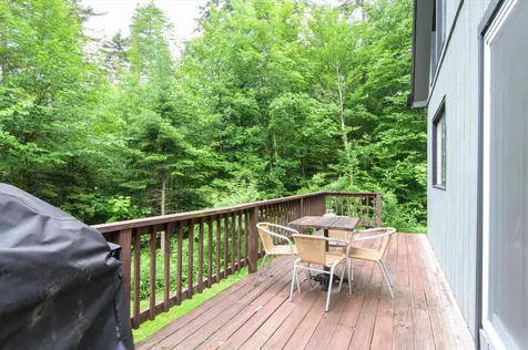 14 Mill Road Dover VT 05356