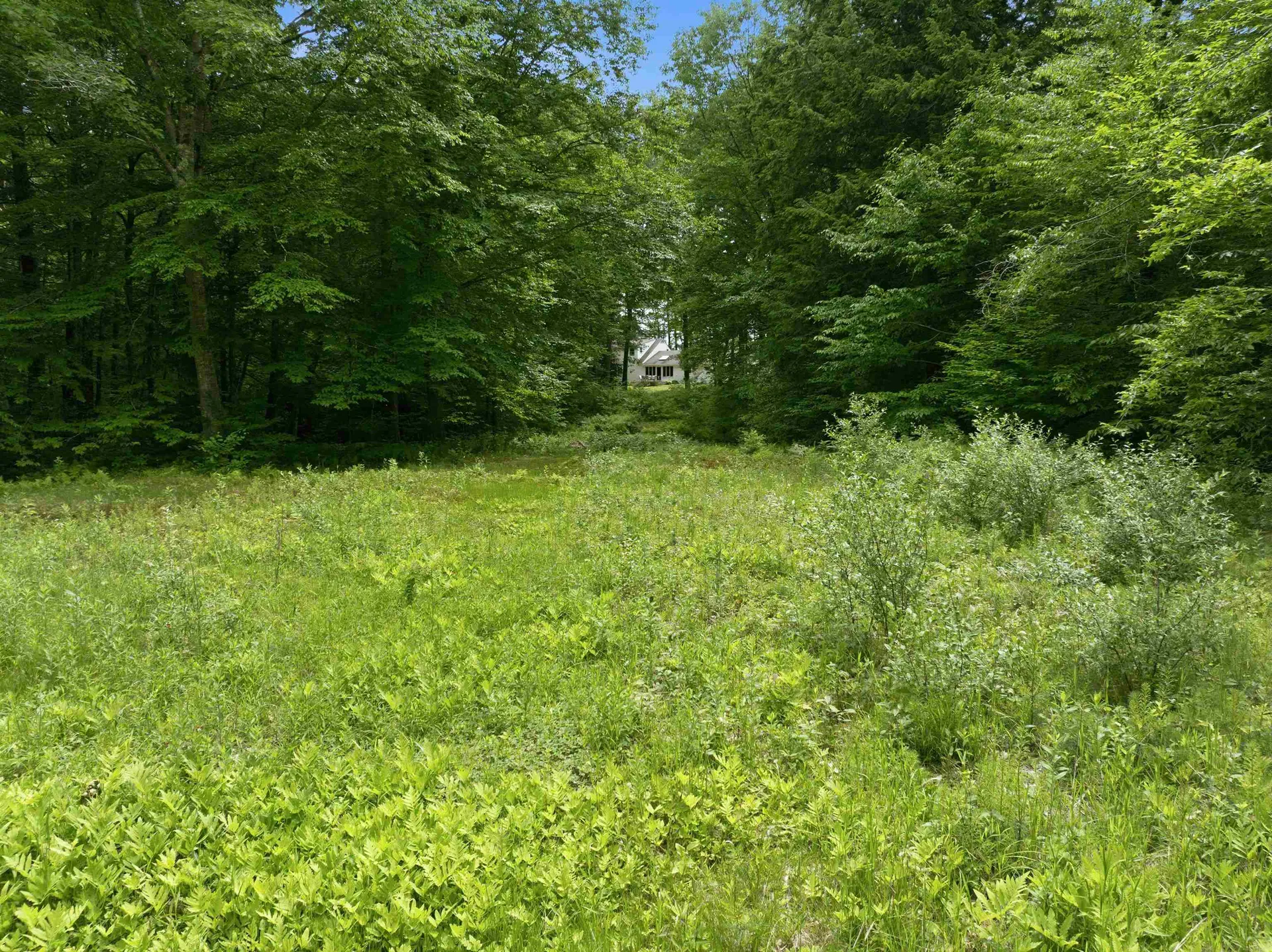 125 Lee Road Moultonborough NH 03254