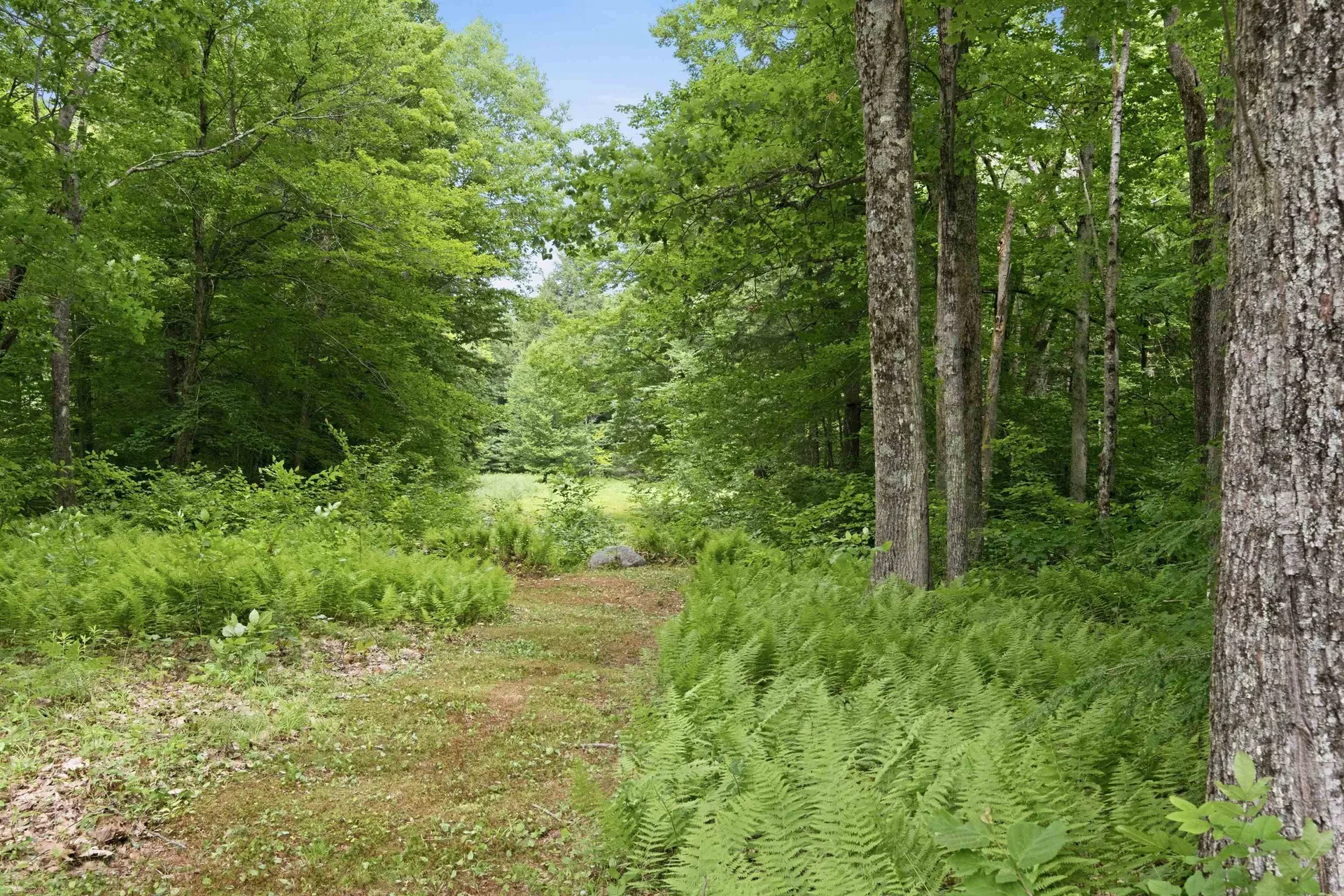 125 Lee Road Moultonborough NH 03254