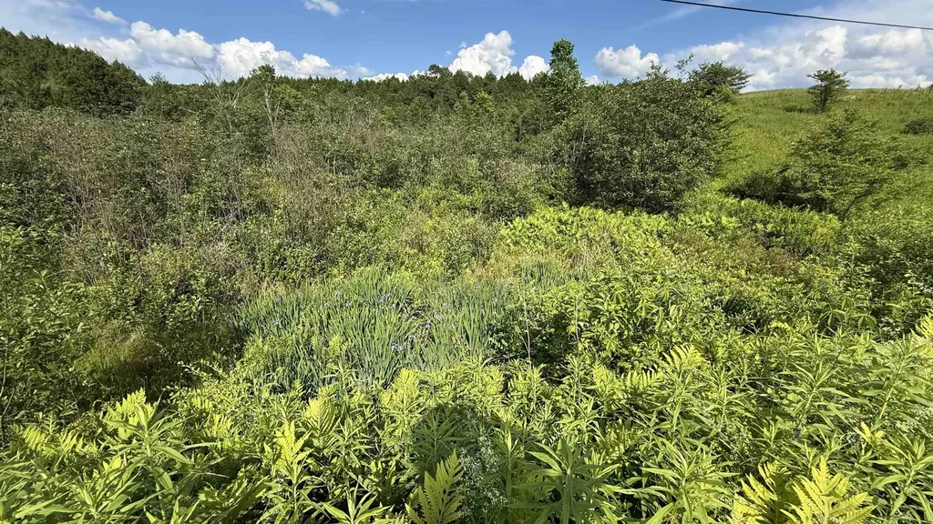 1823 Lost Nation Road Bakersfield VT 05448