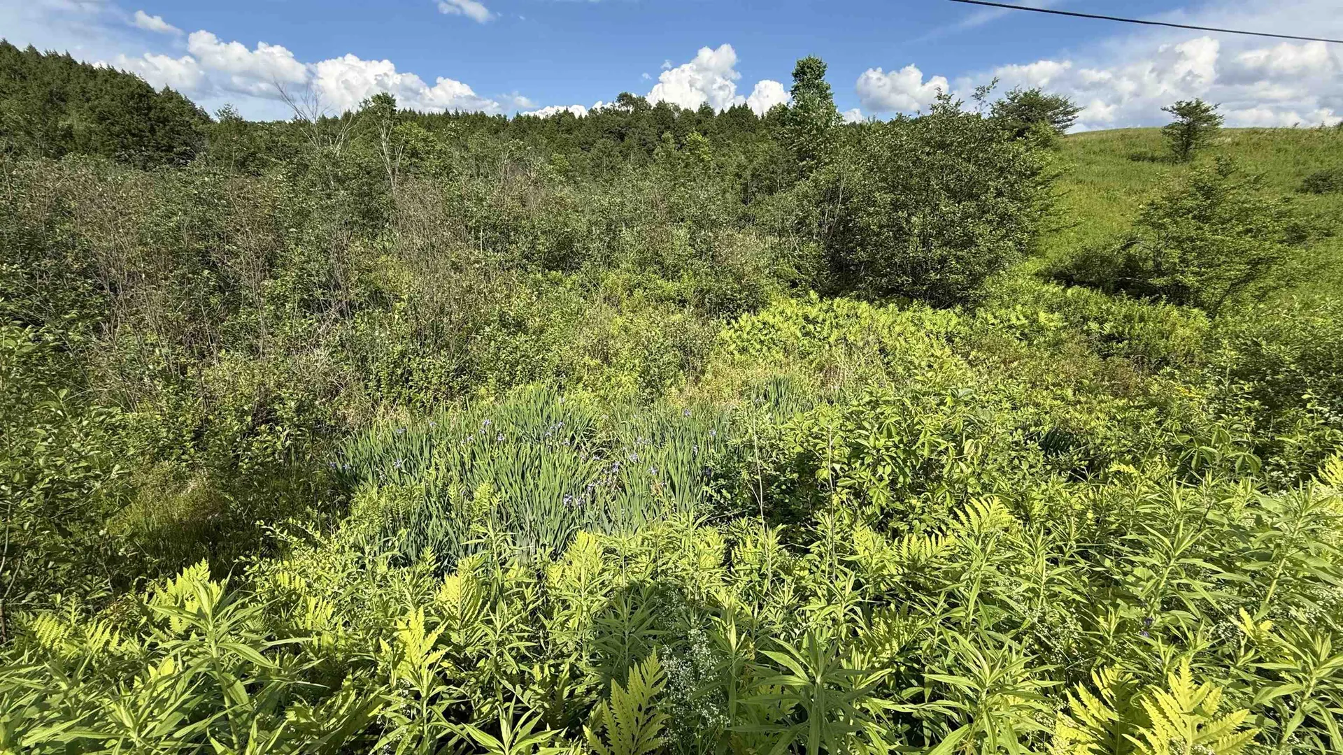 1823 Lost Nation Road Bakersfield VT 05448