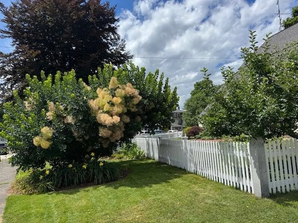 46 Concord Street Nashua NH 03064