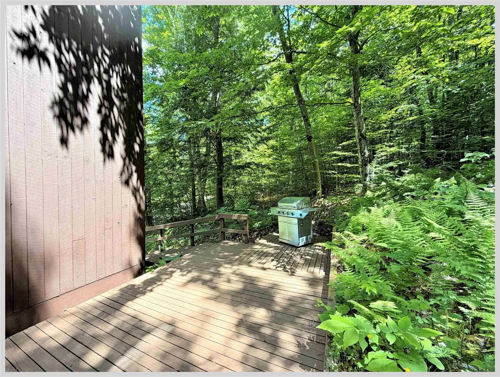 5 Durgin Circle Campton NH 03223