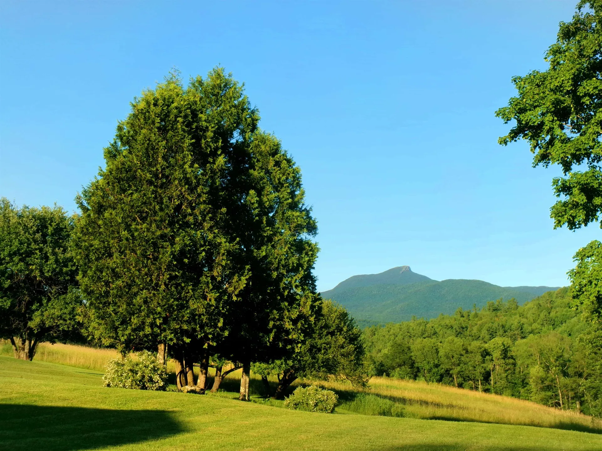 139 Cozzens Road Huntington VT 05462