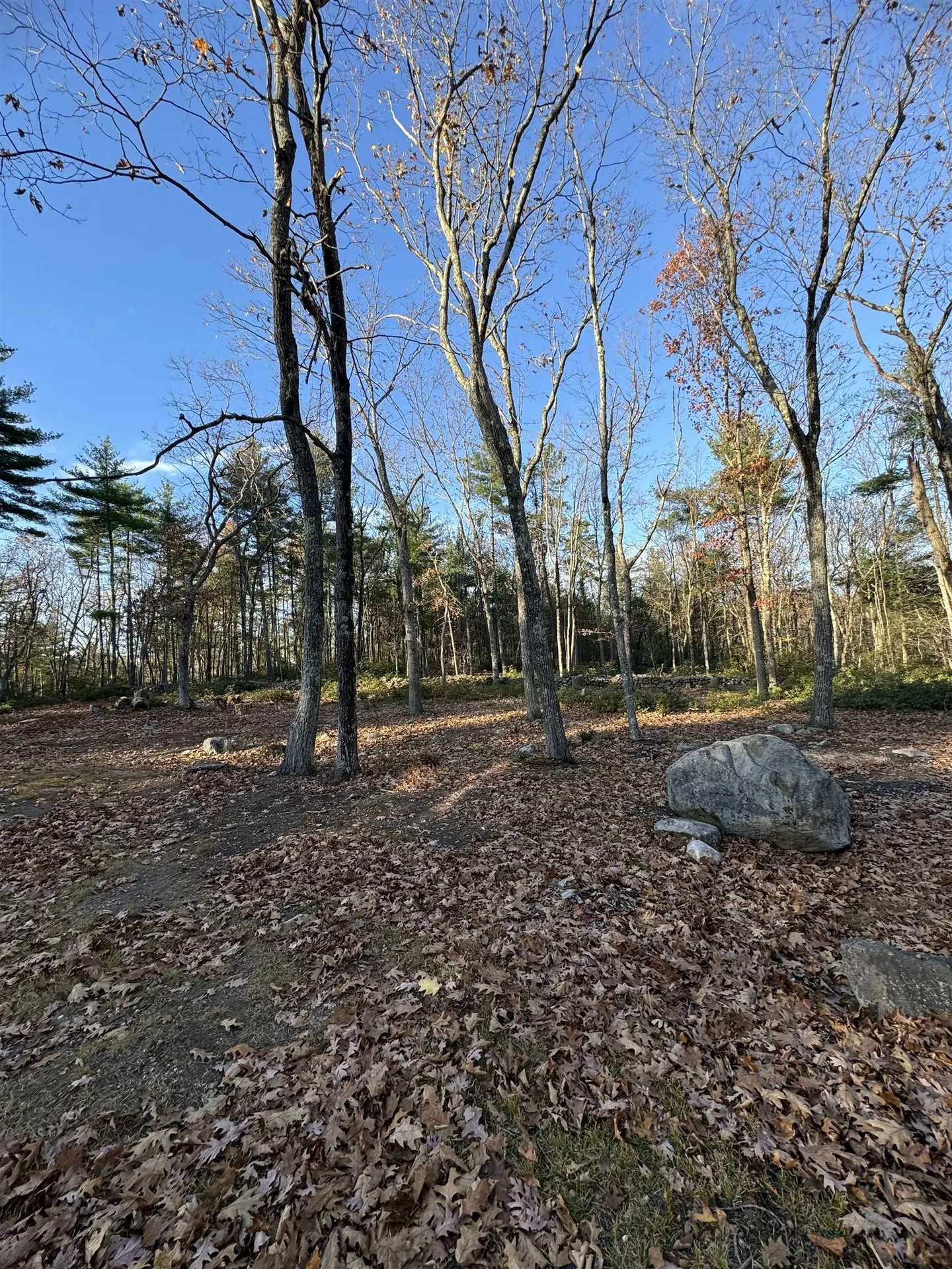 310 Hurricane Hill Road Mason NH 03048
