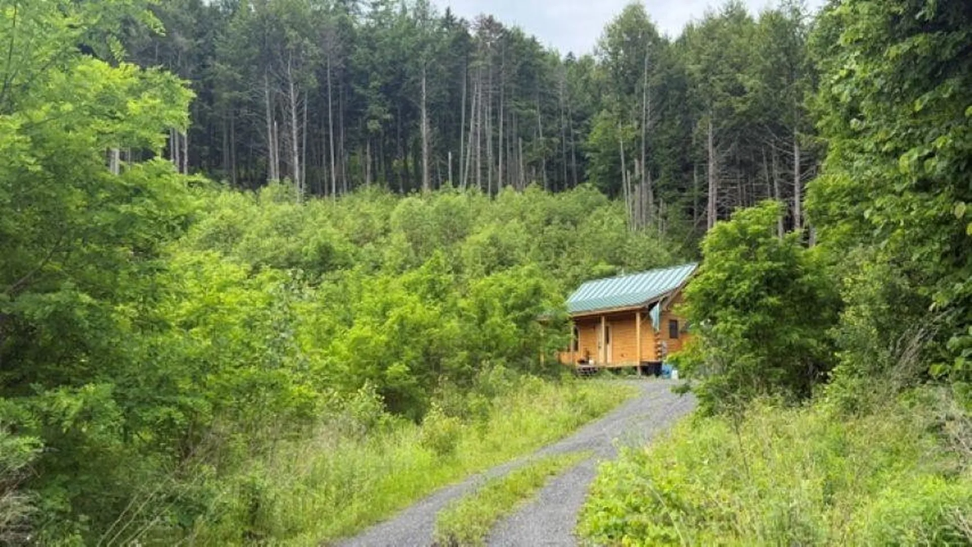 6160 Vt Route 66 Road Randolph VT 05061